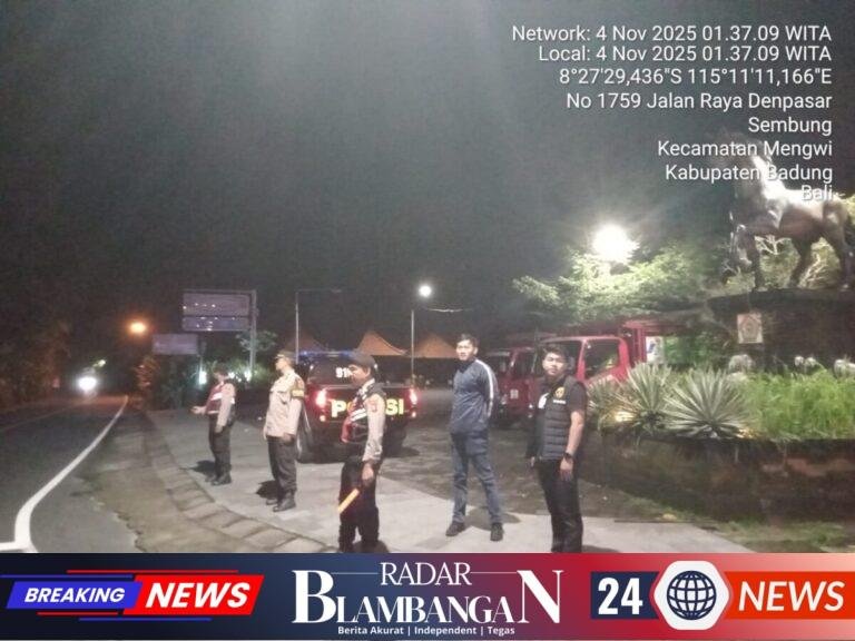 IMG-20251104-WA0049(1)