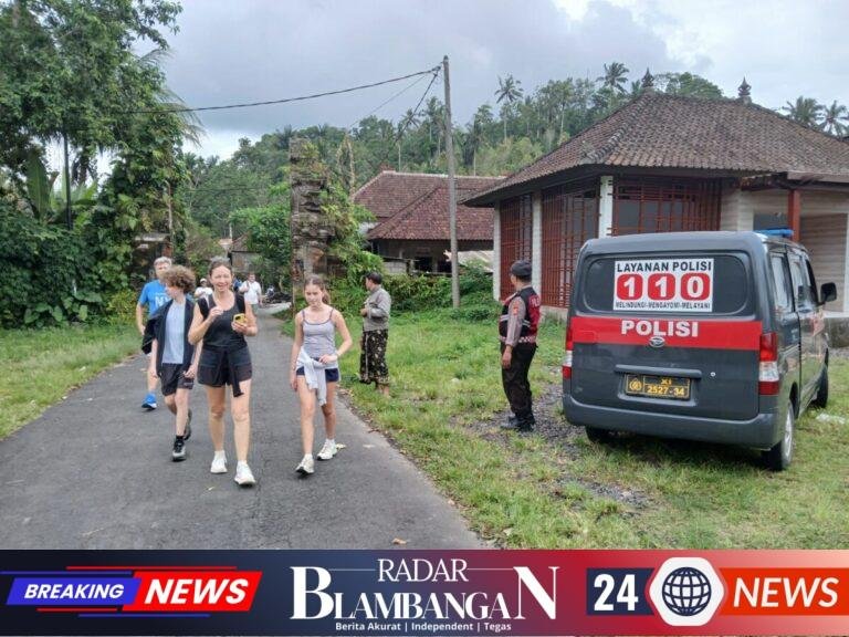 IMG-20251129-WA0728(1)