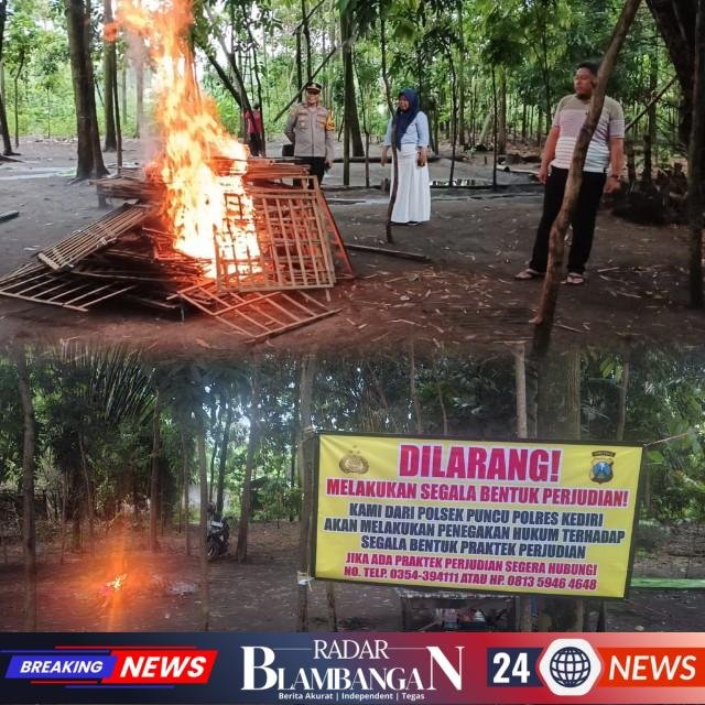 InCollage_20251118_211735096_copy_640x640