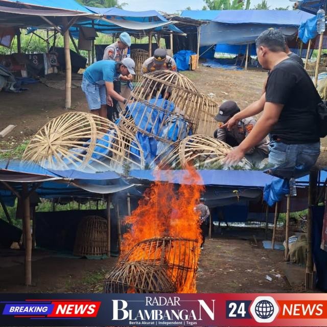 InCollage_20251221_134758694_copy_640x640