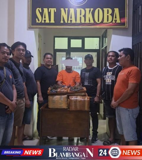 1768055674519_copy_480x542