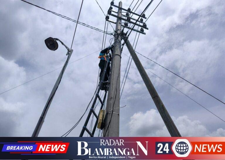 IMG-20260105-WA0066(1)