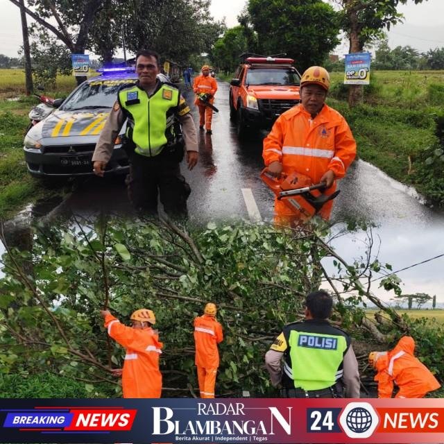 InCollage_20260102_165037390_copy_640x640