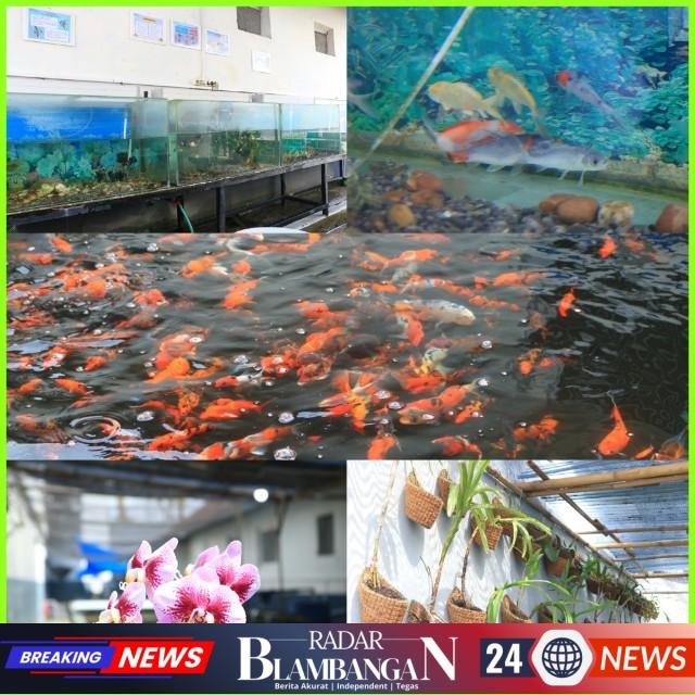 InCollage_20260110_114005316_copy_640x640