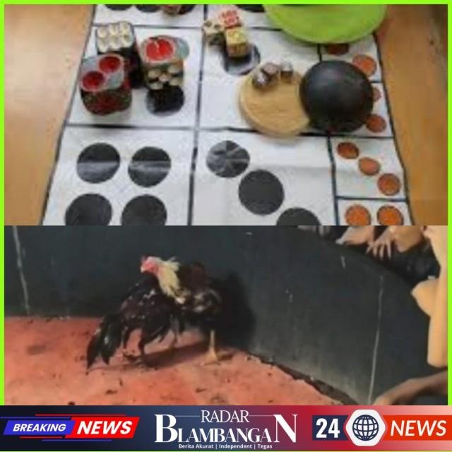 InCollage_20260113_223047969_copy_640x640