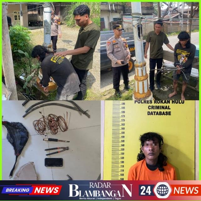 InCollage_20260117_120238446_copy_640x640