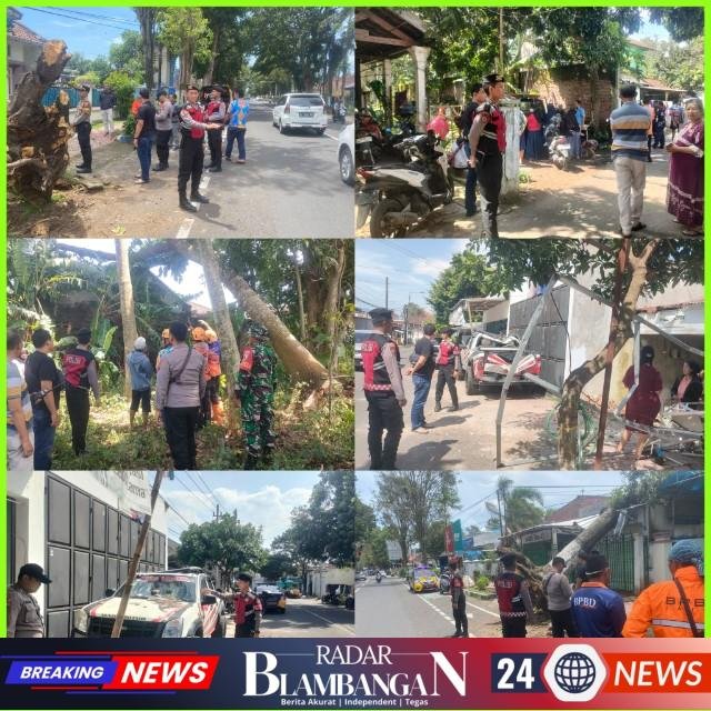 InCollage_20260124_164800955_copy_640x640