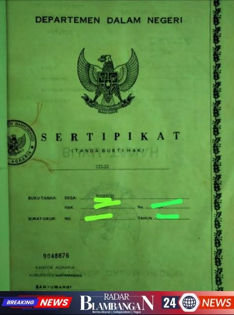 1771730298744_copy_480x645