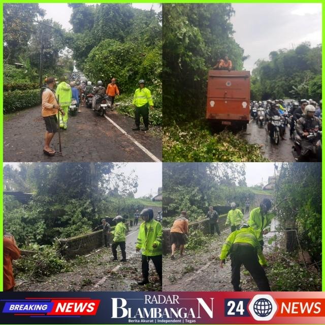 InCollage_20260214_124342104_copy_640x640