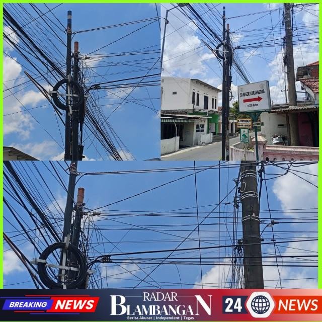 InCollage_20260219_153558377_copy_640x640