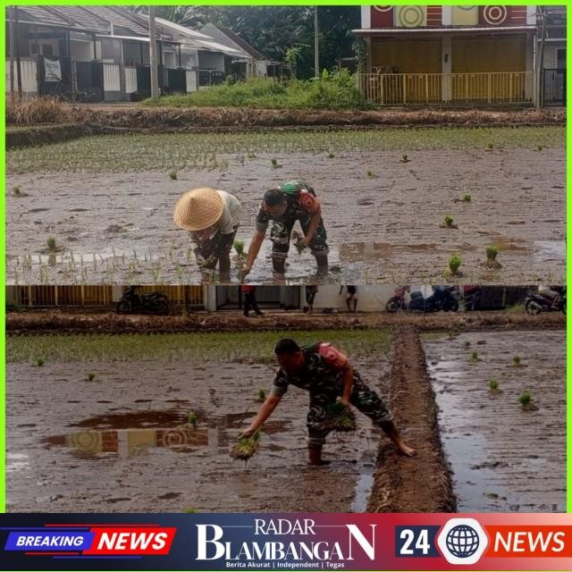 InCollage_20260222_160753460_copy_640x640