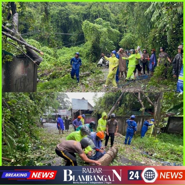 InCollage_20260224_110513316_copy_640x640