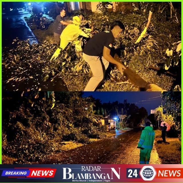 InCollage_20260224_122630123_copy_640x640