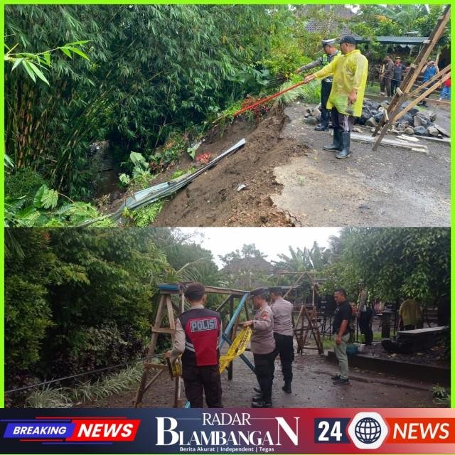 InCollage_20260224_123204648_copy_640x640