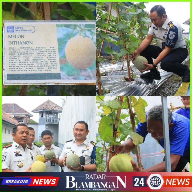 InCollage_20260224_142846869_copy_640x640