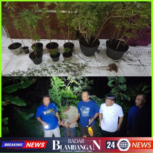 InCollage_20260227_144438388_copy_640x640