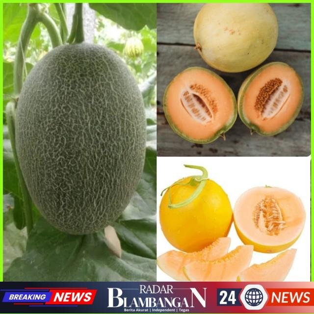 InCollage_20260228_003526455_copy_640x640