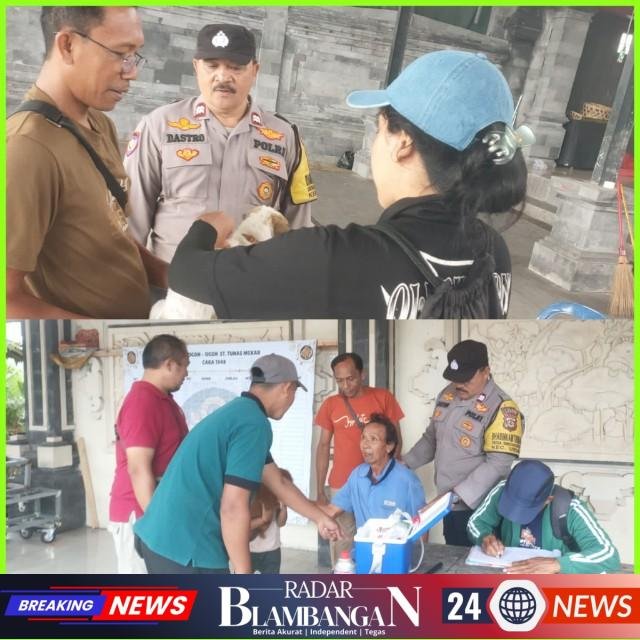 InCollage_20260302_122003799_copy_640x640