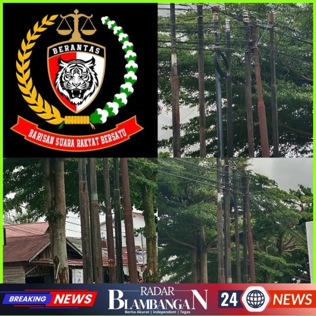 InCollage_20260304_134102392_copy_640x640