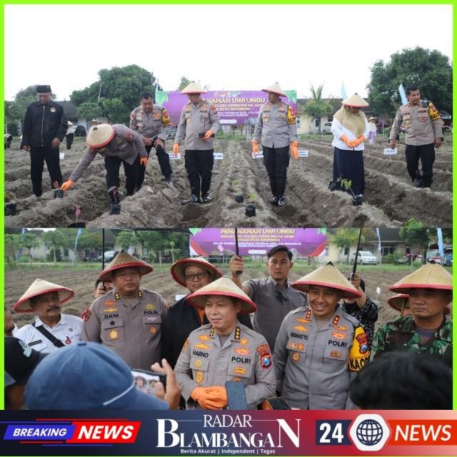 InCollage_20260304_210443040_copy_640x640