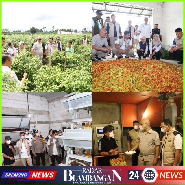 InCollage_20260304_210838243_copy_640x640