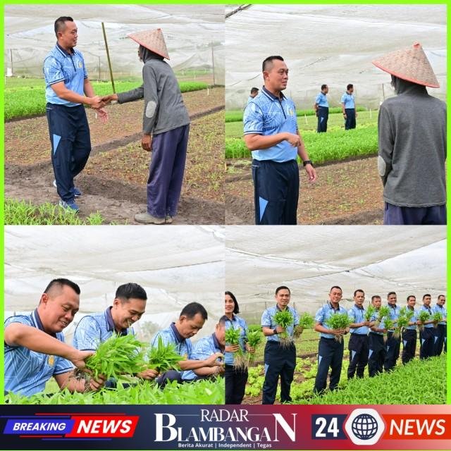 InCollage_20260306_120642142_copy_640x640_1