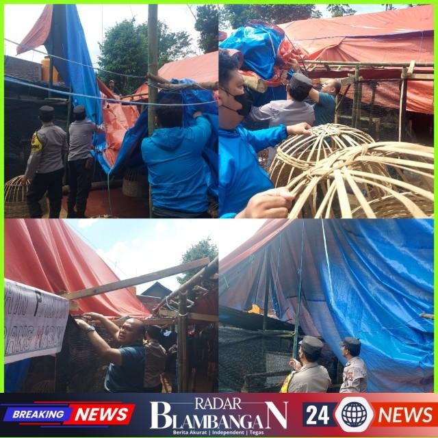 InCollage_20260308_215741033_copy_640x640