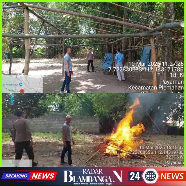 InCollage_20260311_005545463_copy_640x640