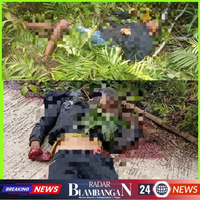 InCollage_20260316_140208499_copy_640x640