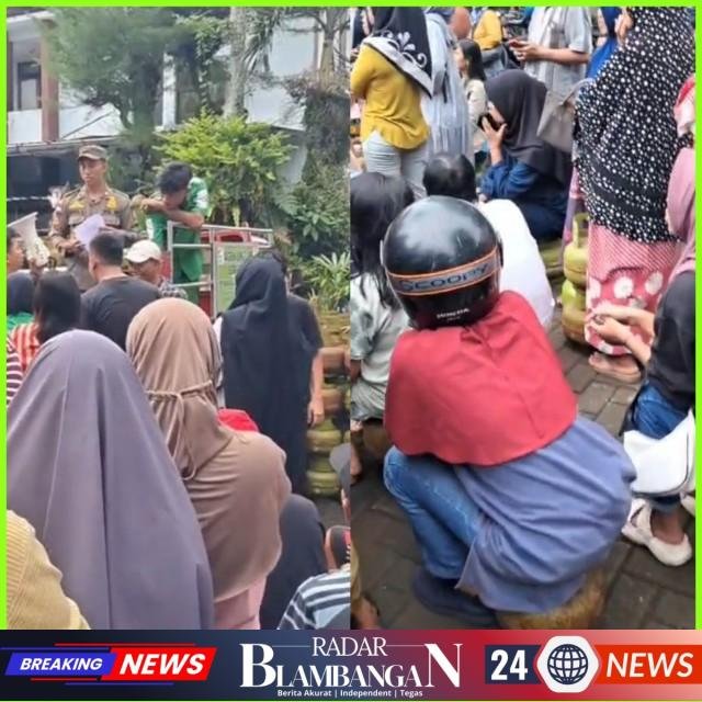 InCollage_20260318_170008701_copy_640x640