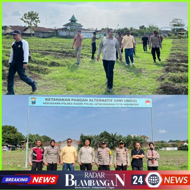 InCollage_20260325_102917473_copy_640x640