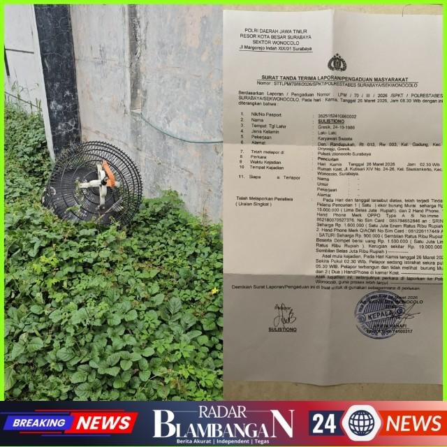 InCollage_20260326_123546982_copy_640x640