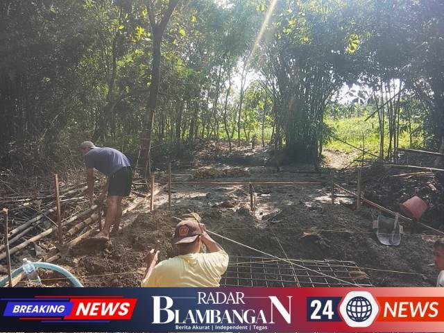 IMG-20260411-WA0203_copy_640x480