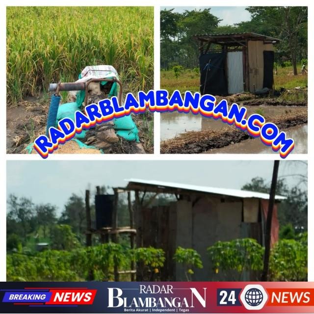 IMG-20260411-WA0262_copy_640x640