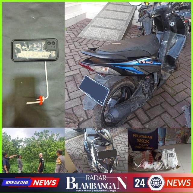 InCollage_20260401_225928793_copy_640x640