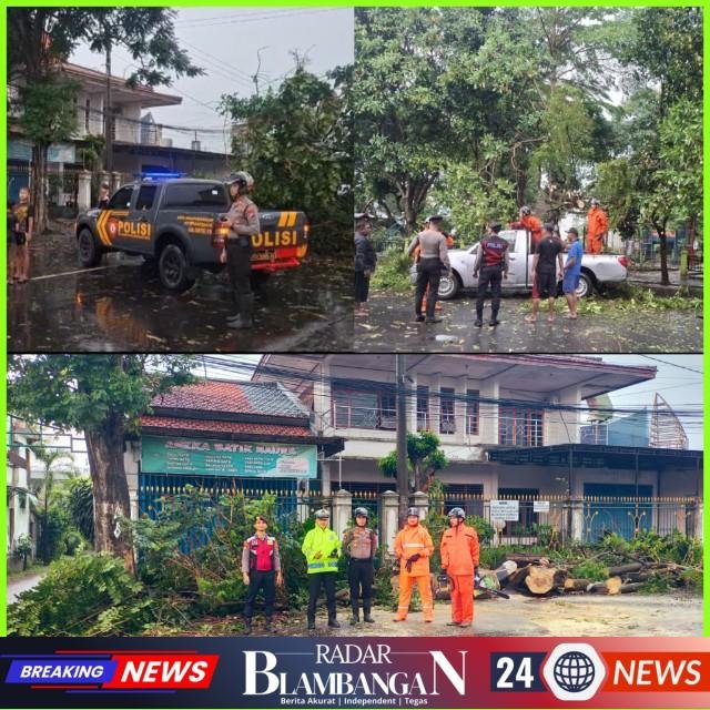 InCollage_20260403_213431721_copy_640x640