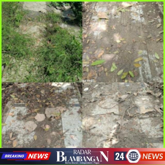 InCollage_20260405_152446875_copy_640x640