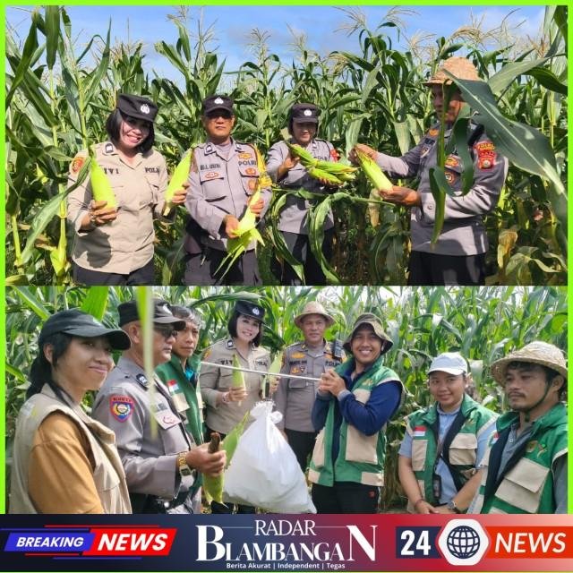 InCollage_20260406_180310565_copy_640x640