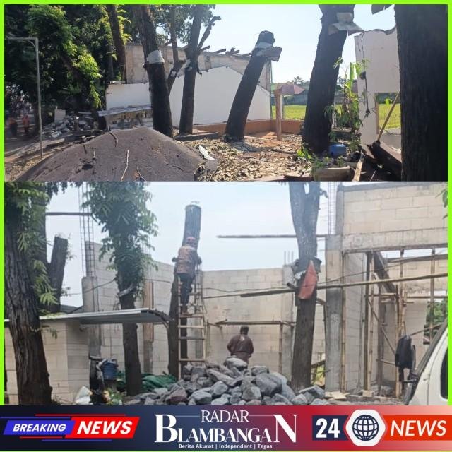 InCollage_20260410_101209310_copy_640x640