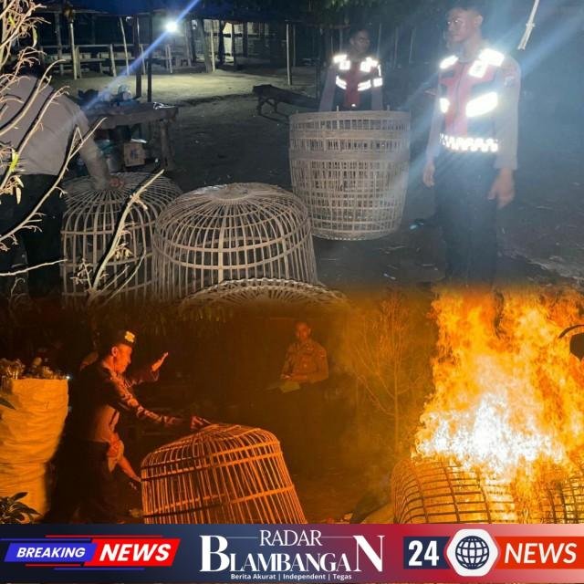 InCollage_20260415_142321955_copy_640x640