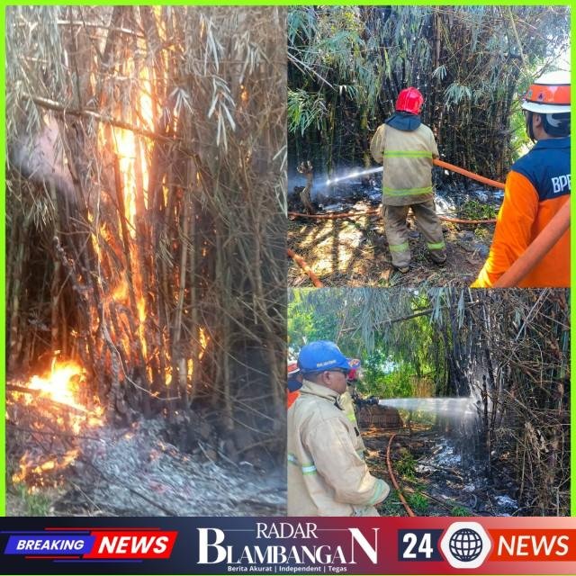 InCollage_20260415_180741948_copy_640x640