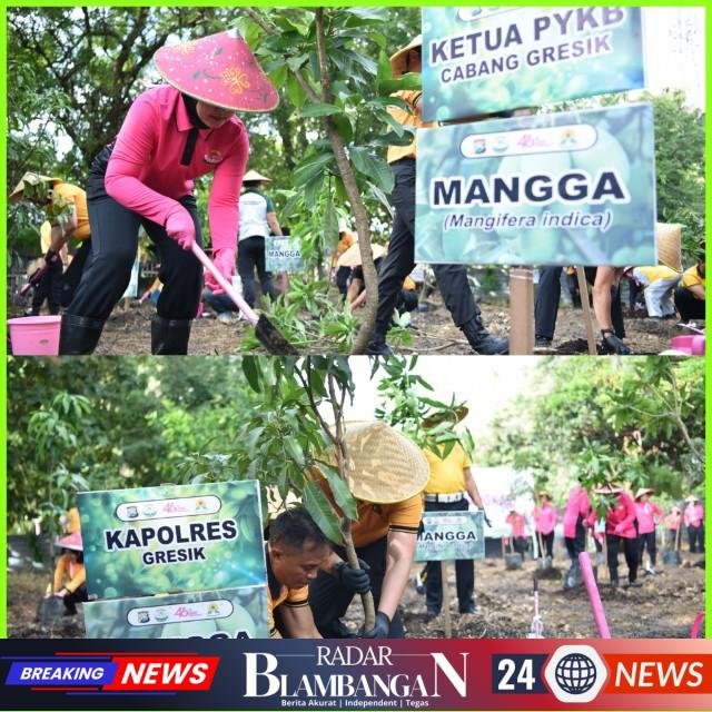 InCollage_20260425_115827408_copy_640x640