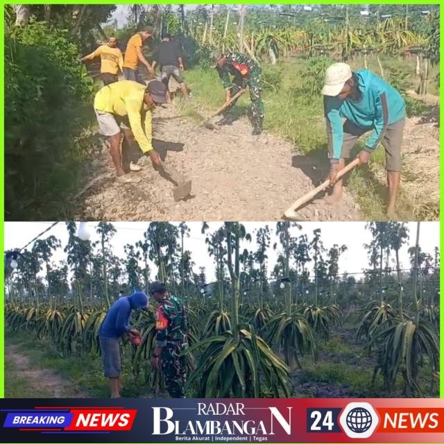 InCollage_20260425_153036863_copy_640x640