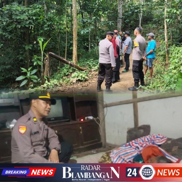 InCollage_20260426_115922351_copy_640x640