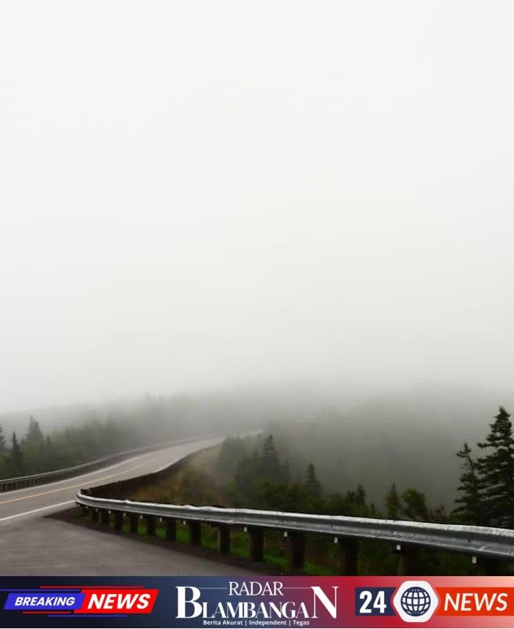 IMG-20260517-WA0029