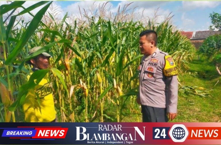 IMG-20260613-WA0158
