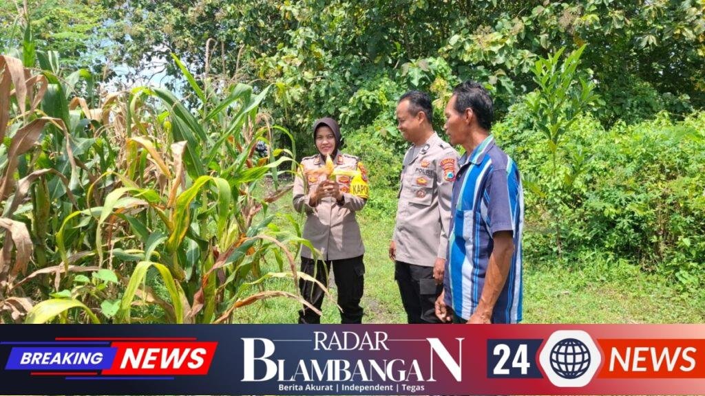 IMG-20260620-WA0026
