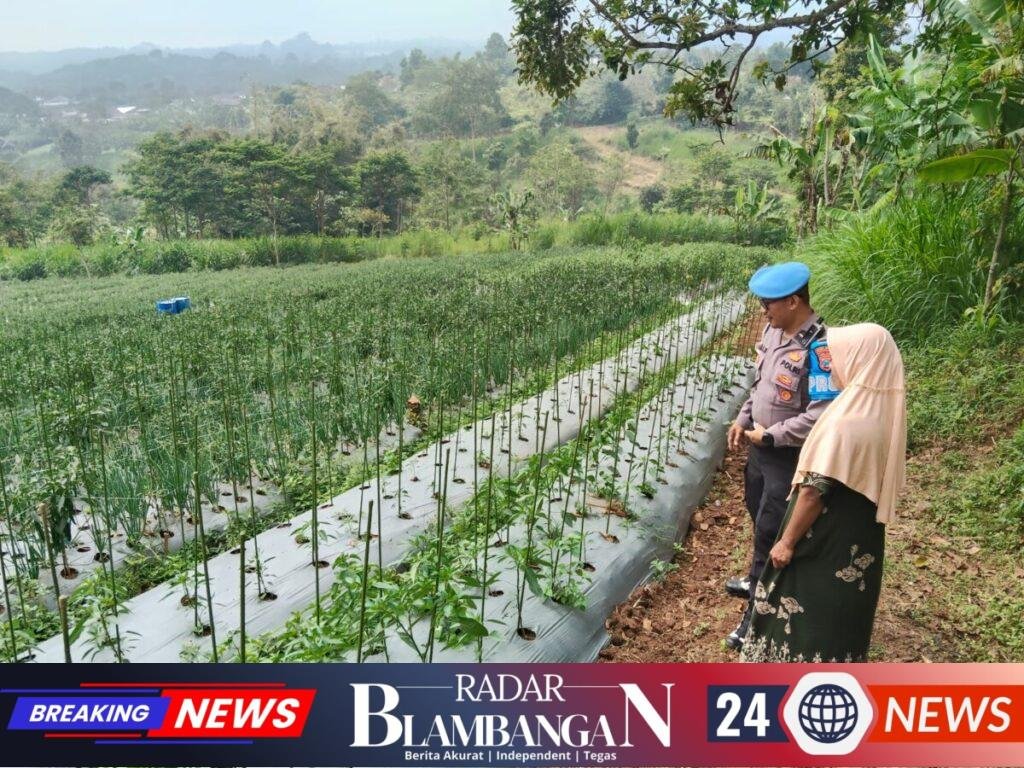 IMG-20260724-WA0233
