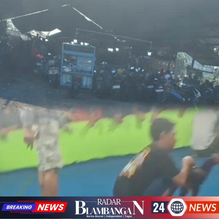 InCollage_20260715_185620725