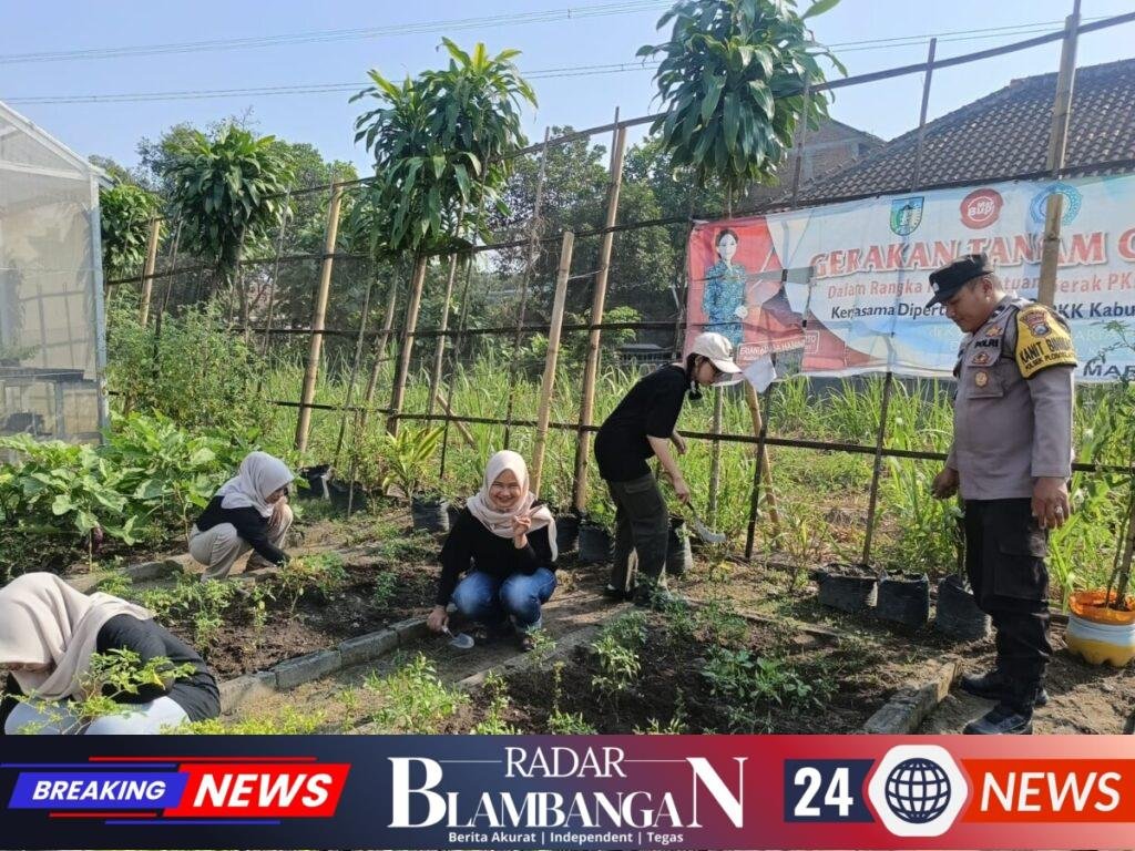 IMG-20260818-WA0100